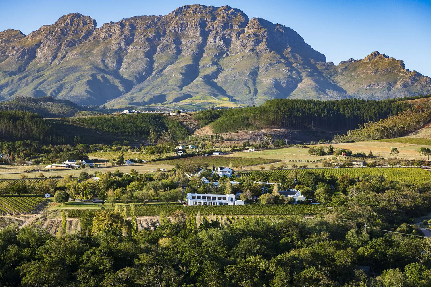 Lanzerac Wine Estate — Tett Safaris